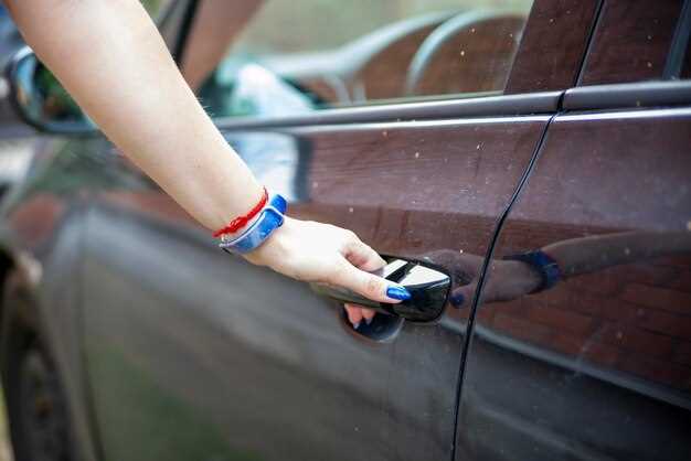 Диагностика причин появления скрипа в дверной задвижке и петлях