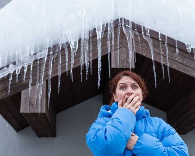 Очистка и удаление загрязнений из системы