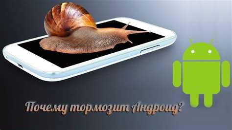 Вирусы и вредоносные программы