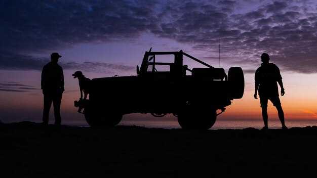 Засорение системы подачи топлива и загрязнение фильтров