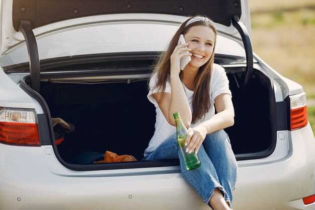 Обтаивание и конденсат: почему он образуется внутри багажника