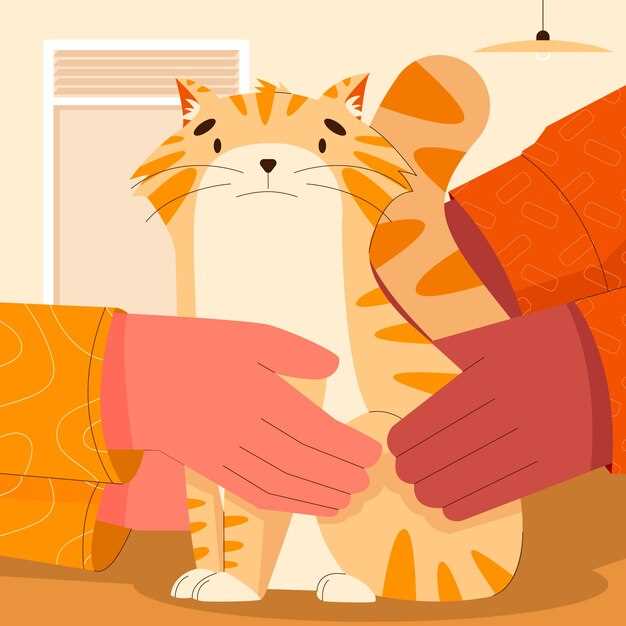 Диагностика и ремонт амортизаторов