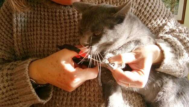 Износ и его диагностика