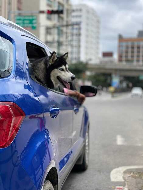 Габариты и вместительность салона