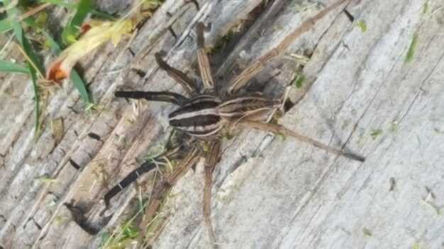 Частые ошибки и как их избежать при затяжке