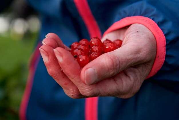 Как определить необходимость замены: признаки износа