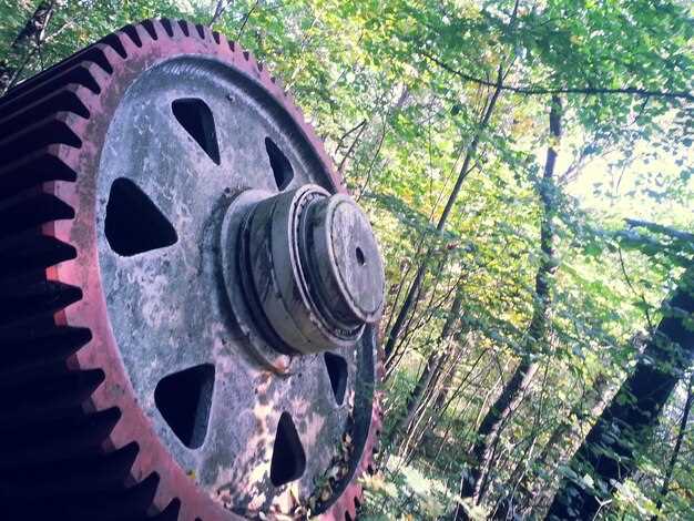 Проверка на слух: шумы и вибрации