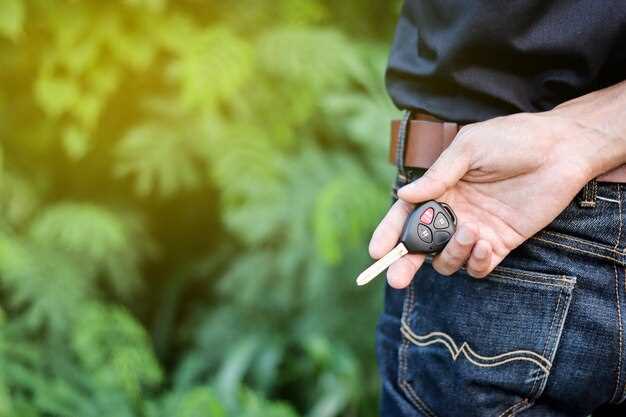 Обзор расположения предохранителей в салоне и под капотом