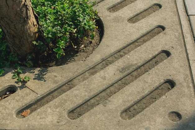 Инструменты для осмотра и очистки дренажных каналов