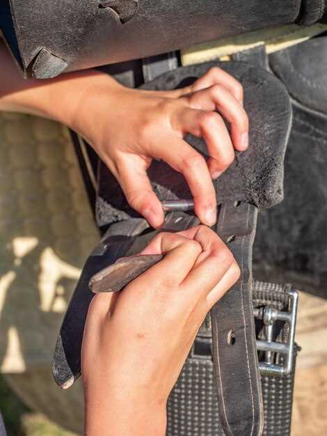 Когда стоит проводить регулировку копота самостоятельно