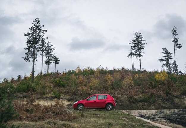 Подготовка к эксплуатации в городских условиях и на бездорожье