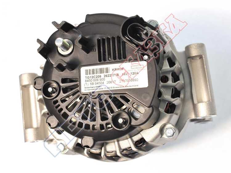 Разнообразие материалов: какие щетки лучше выбрать?