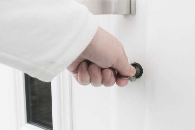 Обзор ключевых элементов задней двери и механизма