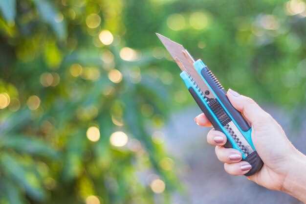 Подробная установка и проверка работы системы