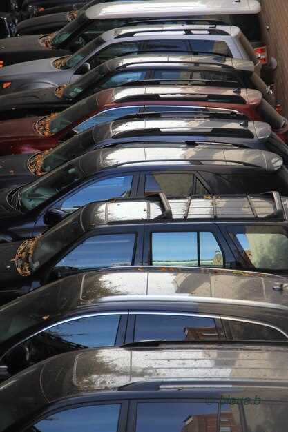 Вес с дополнительным оборудованием и опциями