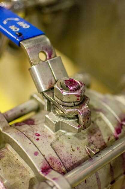 Как снять старую стрекозу без повреждений