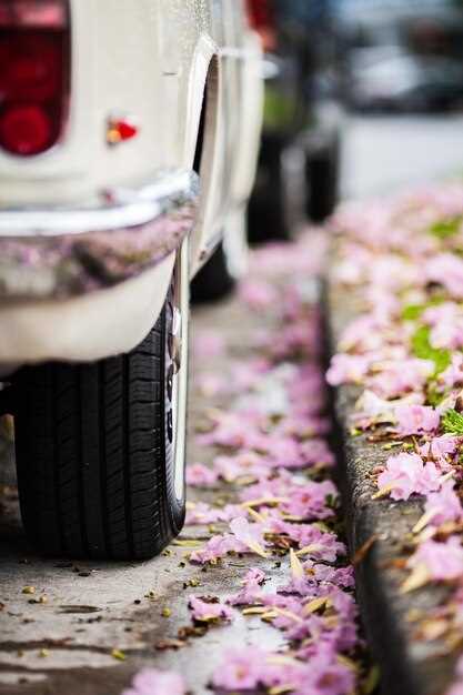 История создания Тойота Стрекоза и её связь с моделью Камри