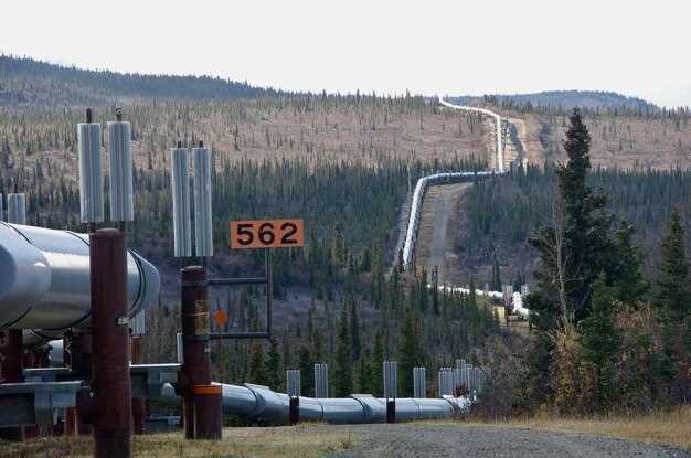 Проверка и замена датчиков температуры блока отопления