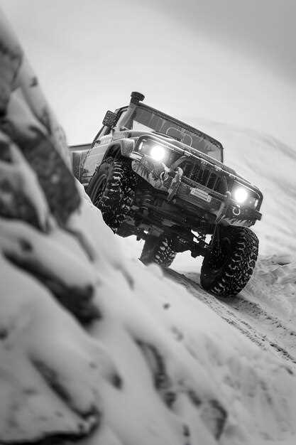 Запасное оборудование: укрепление бамперов и установка кенгурятников