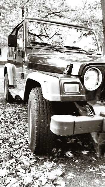 Установка дополнительных световых приборов и систем освещения