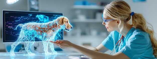 Практические аспекты внедрения и эксплуатации программы Веста