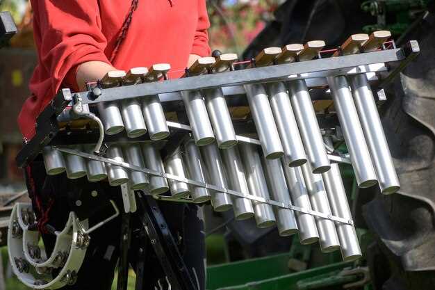 Замена сайлентблоков задней балки: пошаговая инструкция и советы