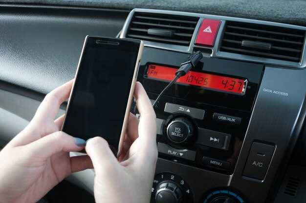 Распространяемые форматы файлов и их особенности