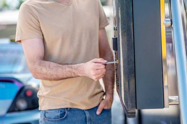 Рассматриваем цены и характеристики оригинальных замков